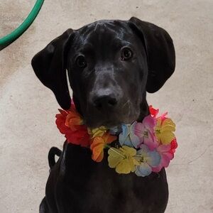 Meet your Posher, Crista